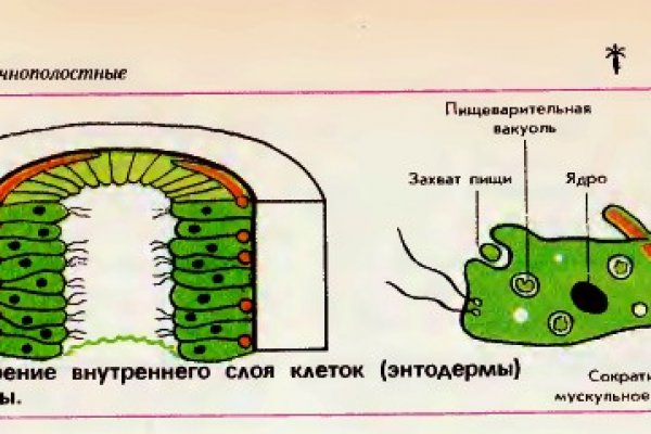 Кракен маркетплейс ссылка телеграмм