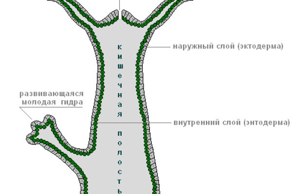 Кракен продает наркотики